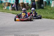 20110501_ales_agnus (2430)